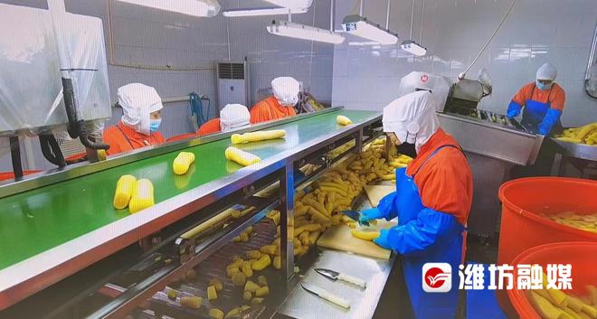 預(yù)制菜訂單火爆，企業(yè)生產(chǎn)排期已至五月